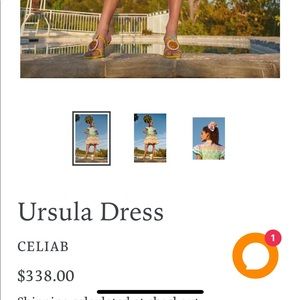 Celia B Ursula dress